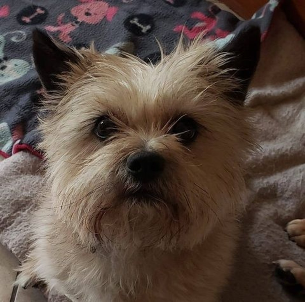 Meet your Posher, Sally